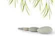 Zen Peace