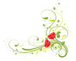coin floral vert et roses rouges