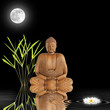 Zen Garden at Night