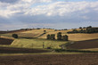 Feld Feld