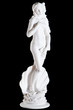 Classic white marble statue The Birth of Venus isolated Classic white marble statue The Birth of Venus isolated