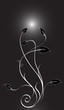 Black Sun