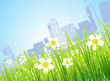 Spring in the city, flowers
