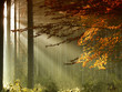 Foto: Herbst Herbst
