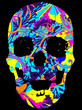 Colored Skull Print Design Artwork Colored Skull Print Design Artwork