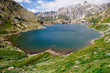 Gran san Bernardo