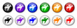 "Horse Racing" Buttons (x12 - various colours)