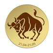 Stier