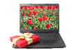 red gift box lies on the laptop keyboard