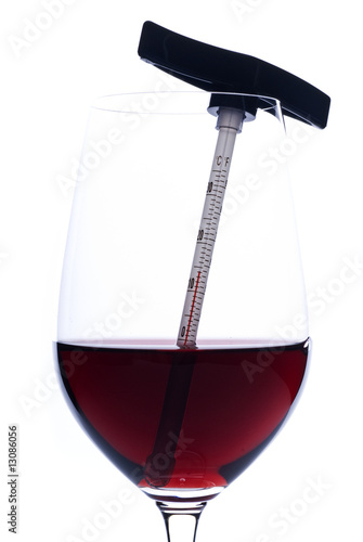 Measuring Red Wine Temperature with a Thermometer (Celsius) Measuring Red Wine Temperature with a Thermometer (Celsius)