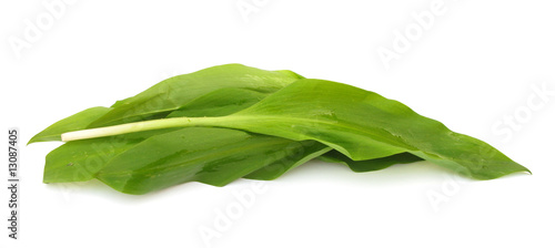 Photo: Ramson fresh leaves Ramson fresh leaves