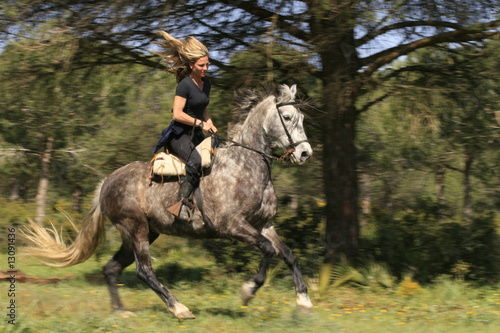 galopp im wald
