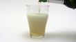 Having a Glass of Beer