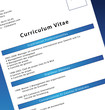 Curriculum vitae zoom