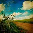 aged landscape