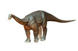 Photo : Titanosaur