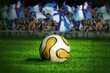 Soccer ball on green grass