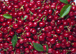 Kirschen4