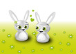 Bunnys in love