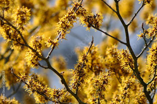 Photo: Frühling Frühling