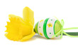 easter egg and daffodil  isolated on white