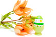 easter egg and orange lily isolated on white