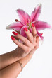 Spa treatment with beautiful lily