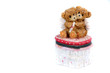 Teddy Couple Box