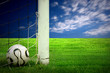 Soccer ball on green grass and blue sky