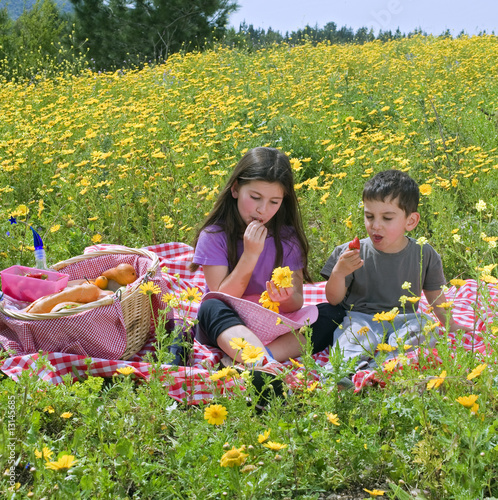 Foto: boy girl picnic boy girl picnic