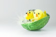 Easter Chickens