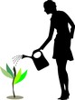 A young woman watering a green plant in the office
