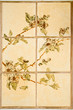 Photo: Floral pattern on ceramic tiles Floral pattern on ceramic tiles