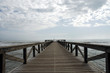 Pontile