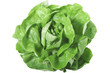 salade