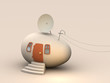 Egg like house Egg like house