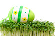 easter egg and cress isolated on white