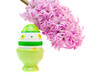 easter egg and flower isolated on white