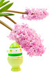 easter egg and flower isolated on white