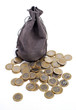 Bolsa de dinero