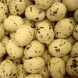 quail eggs