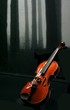 violon