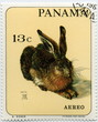 Timbre Panama Aero. Lapin. A. Dûrer.