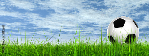 3D black soccer ball,green grass and a blue sky with clouds