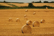 Bales of straw.