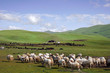 Tibet oriental Tibet oriental