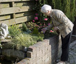 older woman relaxing and working in the garden outiside older woman relaxing and working in the garden outiside
