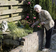 older woman relaxing and working in the garden outiside older woman relaxing and working in the garden outiside