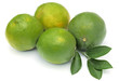 des citrons des citrons