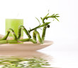 Spa still life